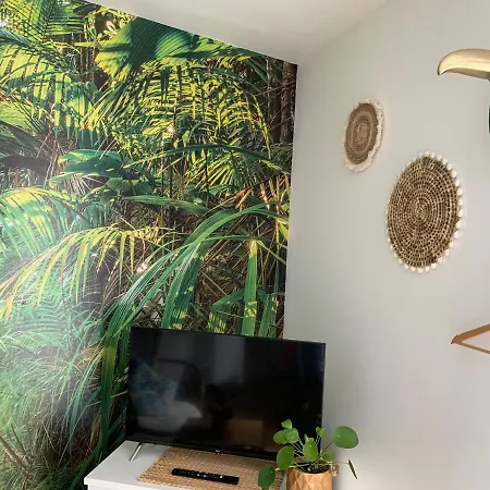 Le Petit Bali - Studio - Wifi - Parking - Coeur De * Pont-lʼAbbé